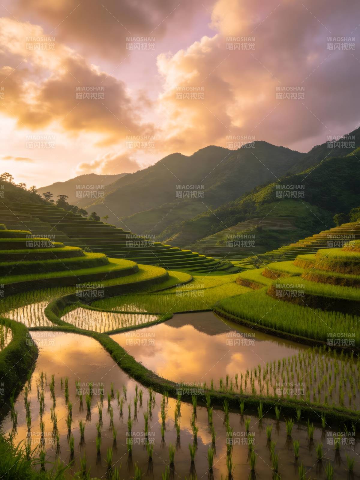 梯田映霞 山色如画图片