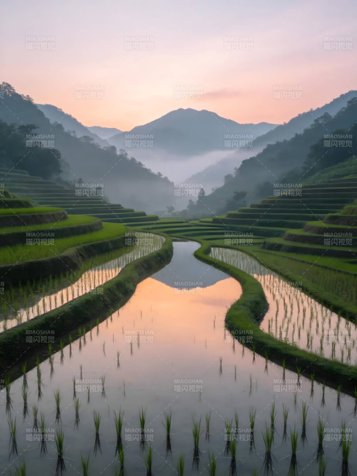 晨雾梯田 山水如画图片