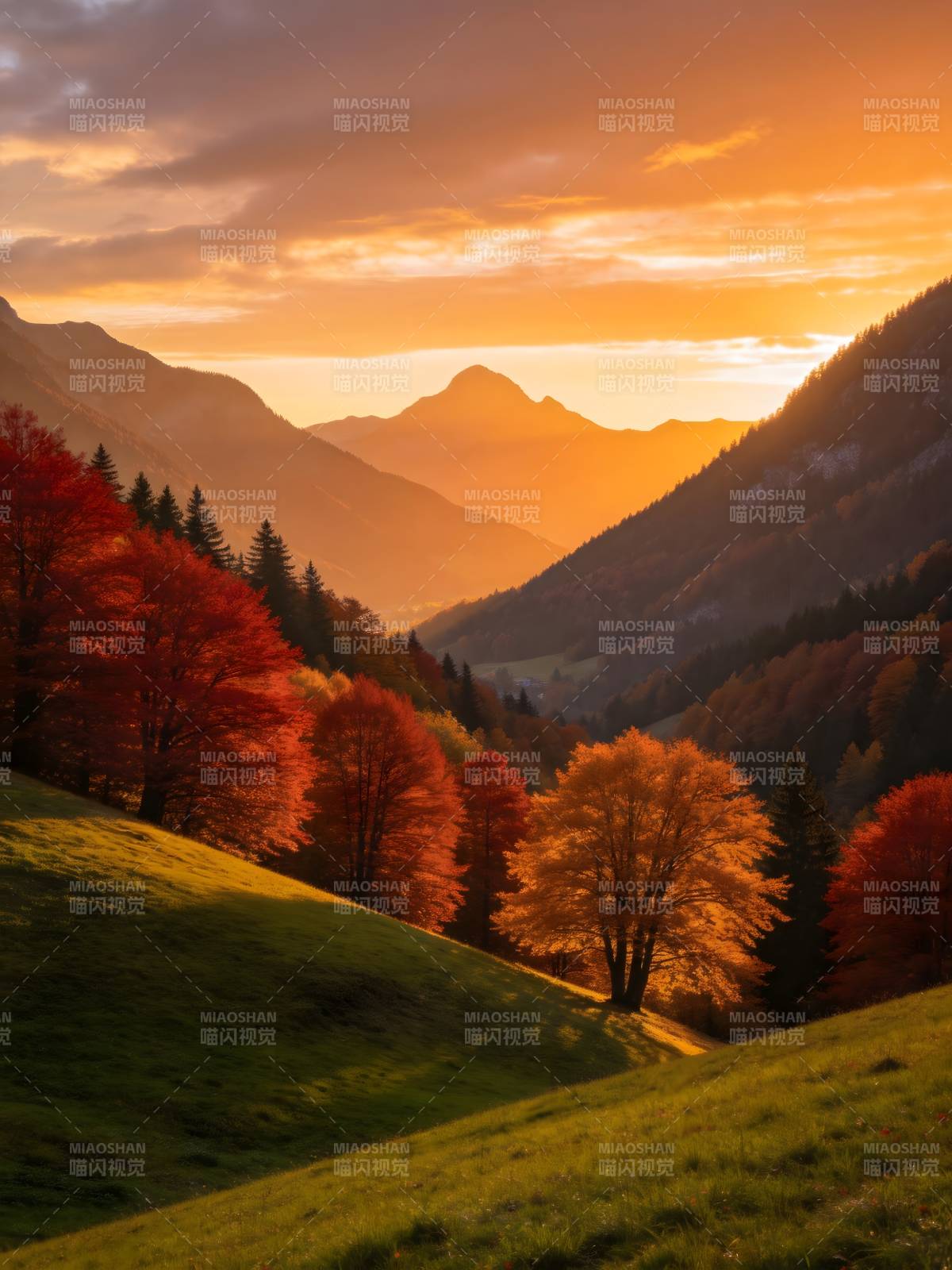 秋山夕照 层林尽染金红图片