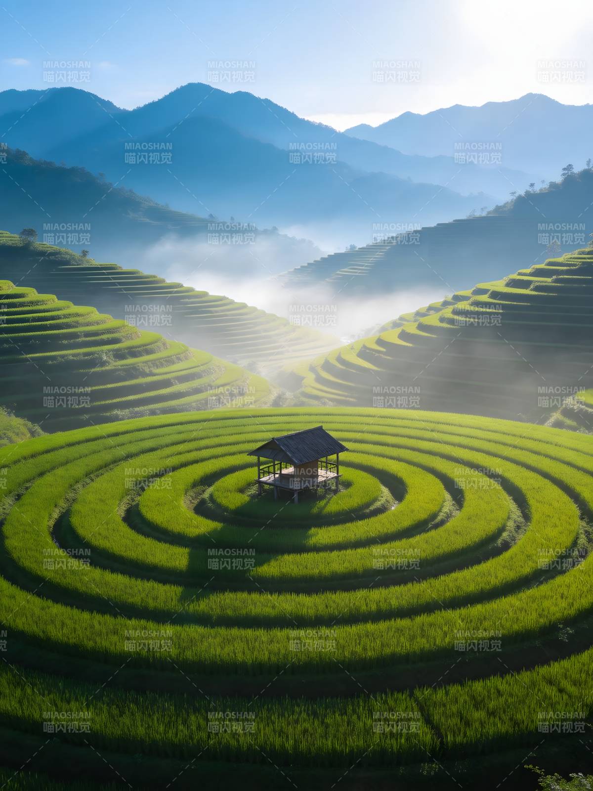 晨雾梯田 小屋居中静美图片