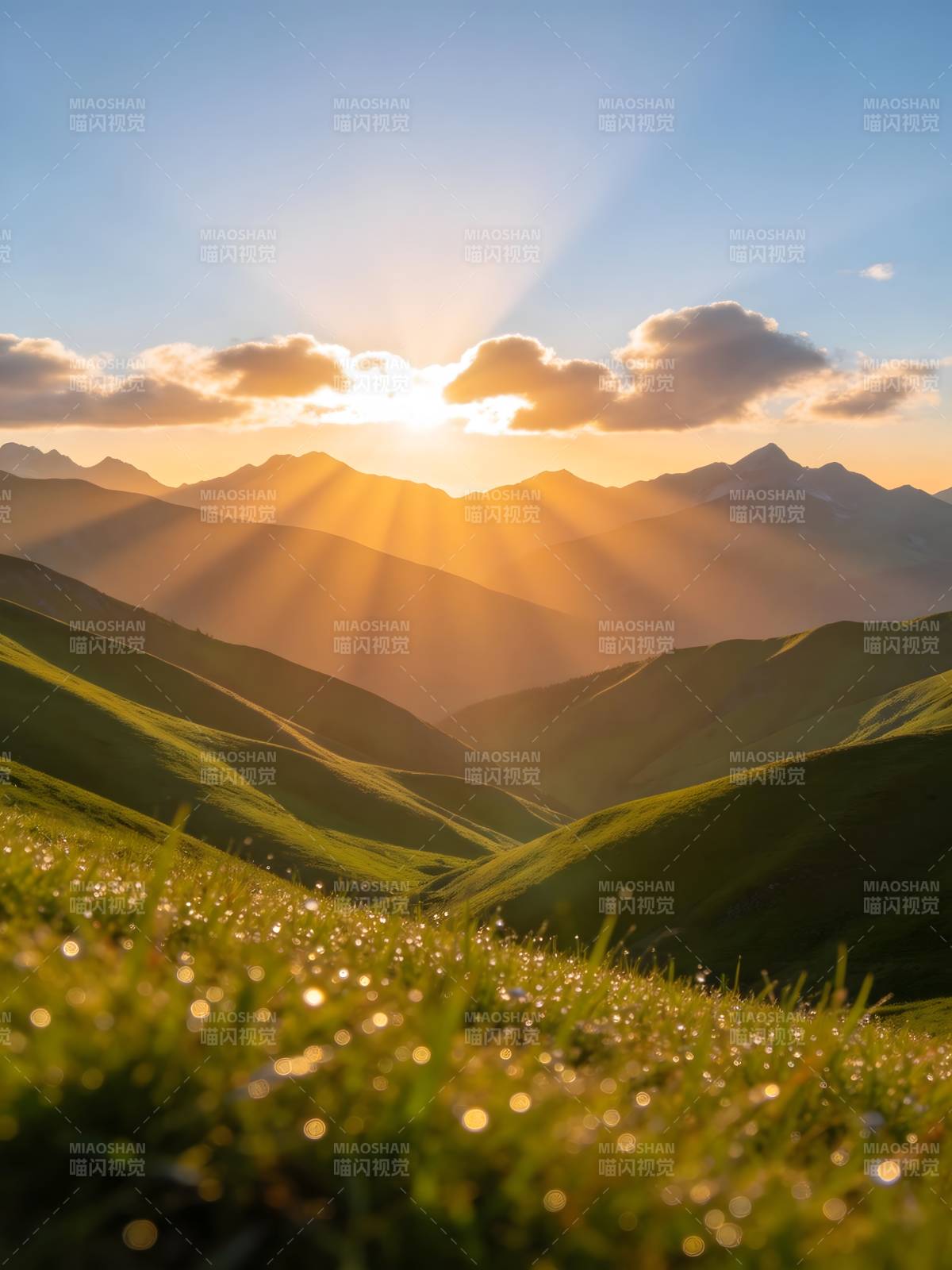 晨光洒山峦 草露映金辉图片