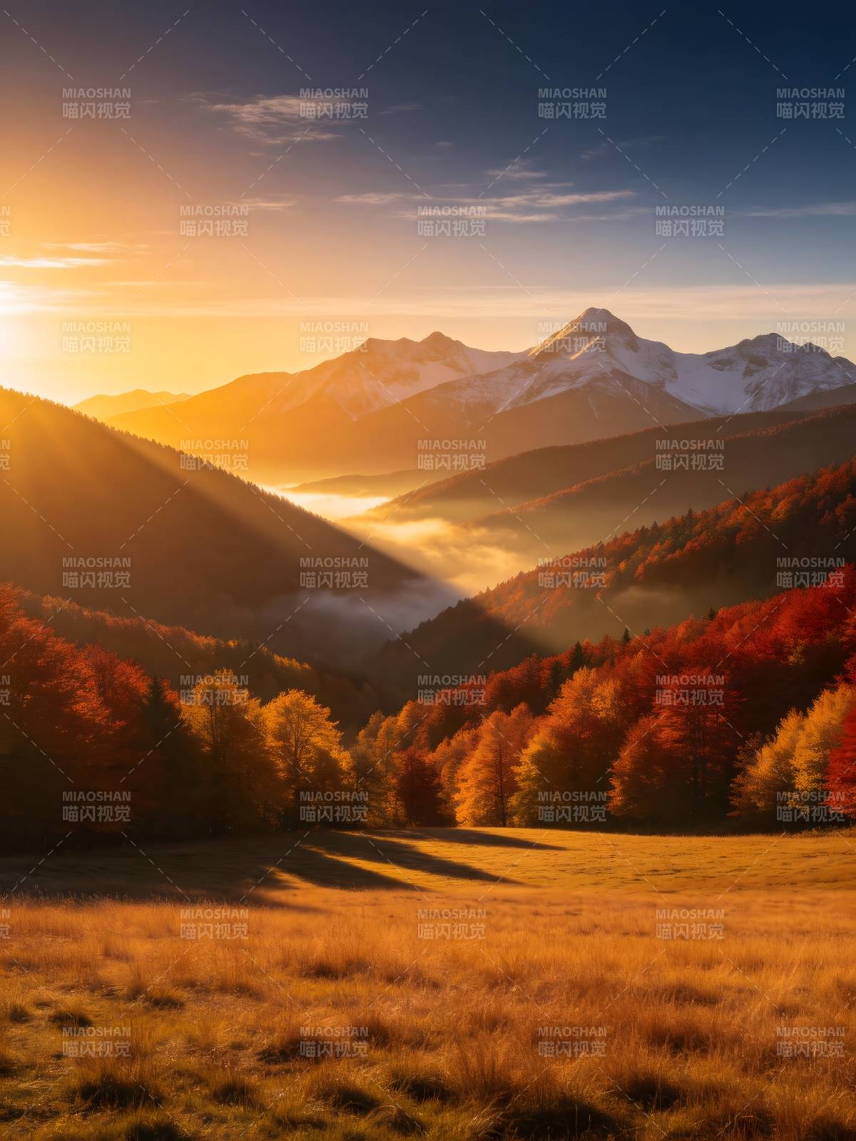 秋山夕照 金辉染层林图片