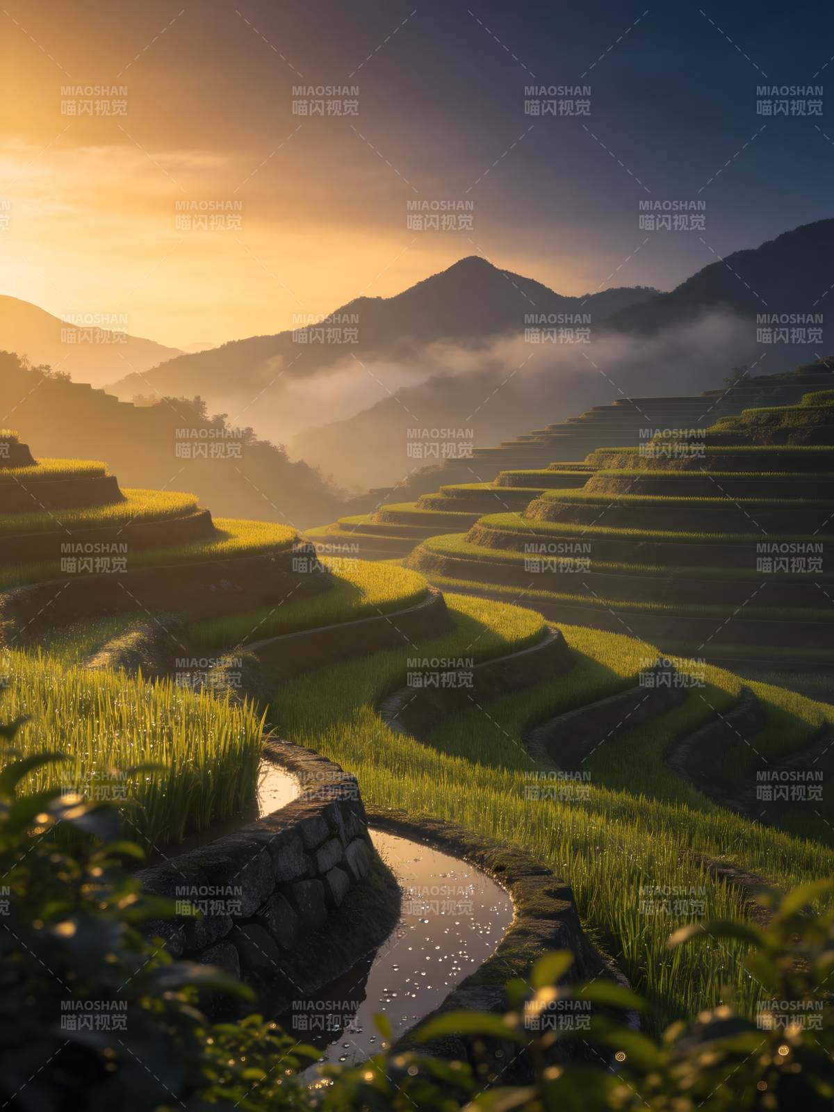 晨雾梯田 金光染青山图片