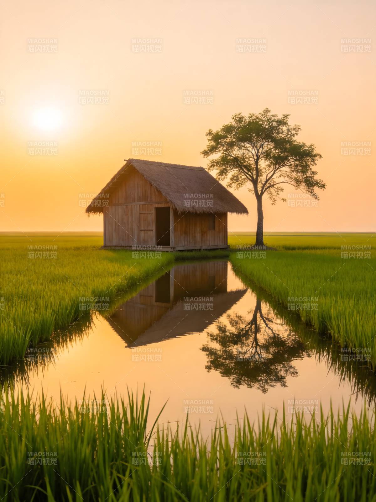 夕阳稻田小屋倒影美图片