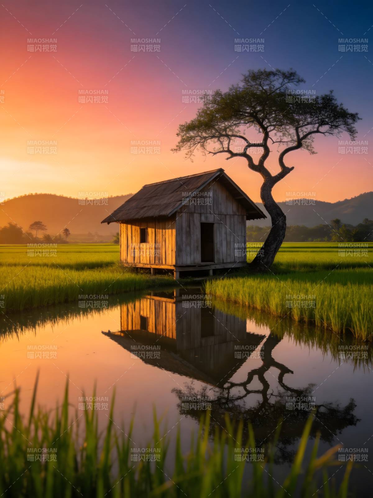 稻田小屋 夕照如诗图片