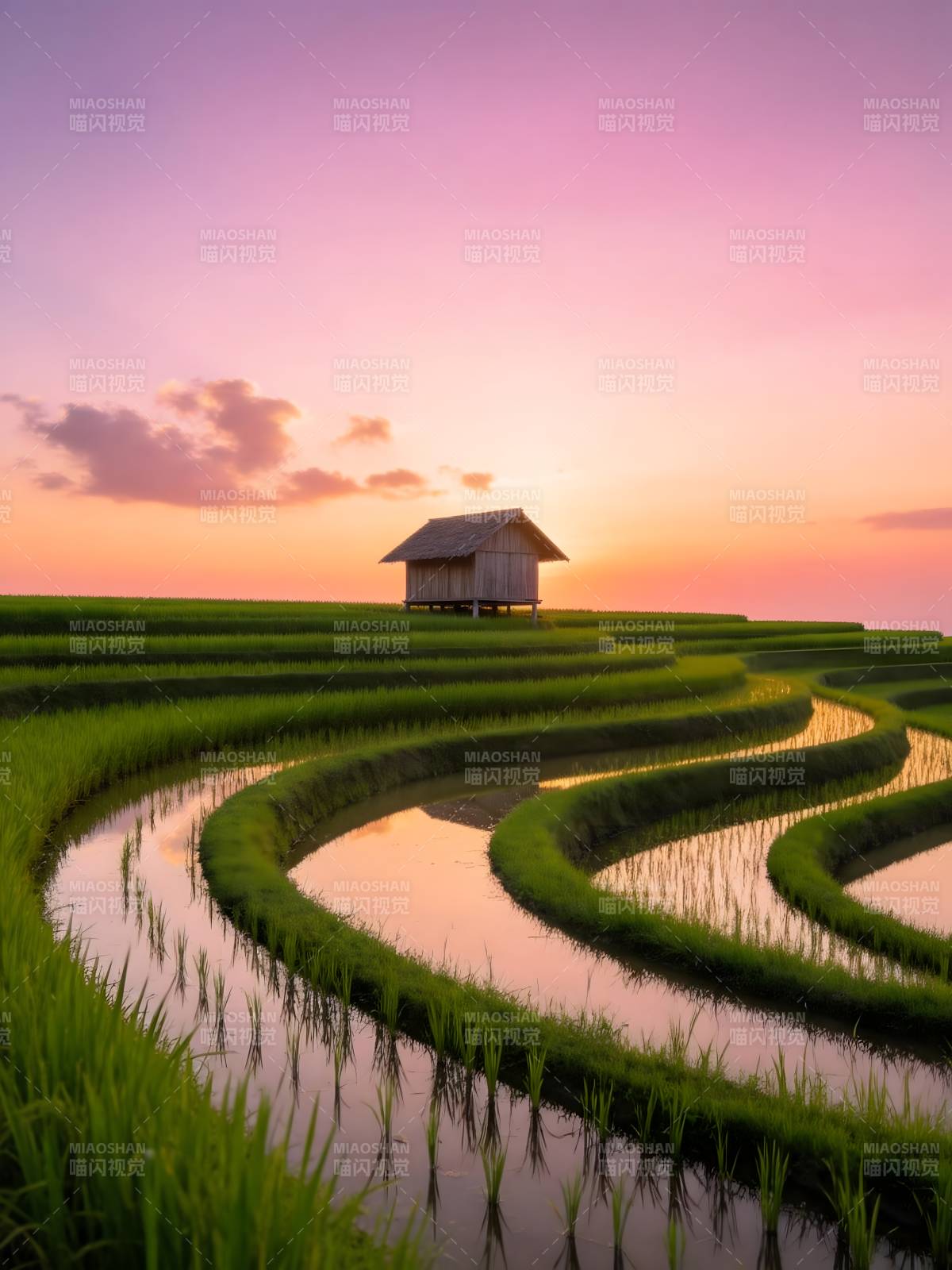 梯田夕照 小屋静立水光中图片