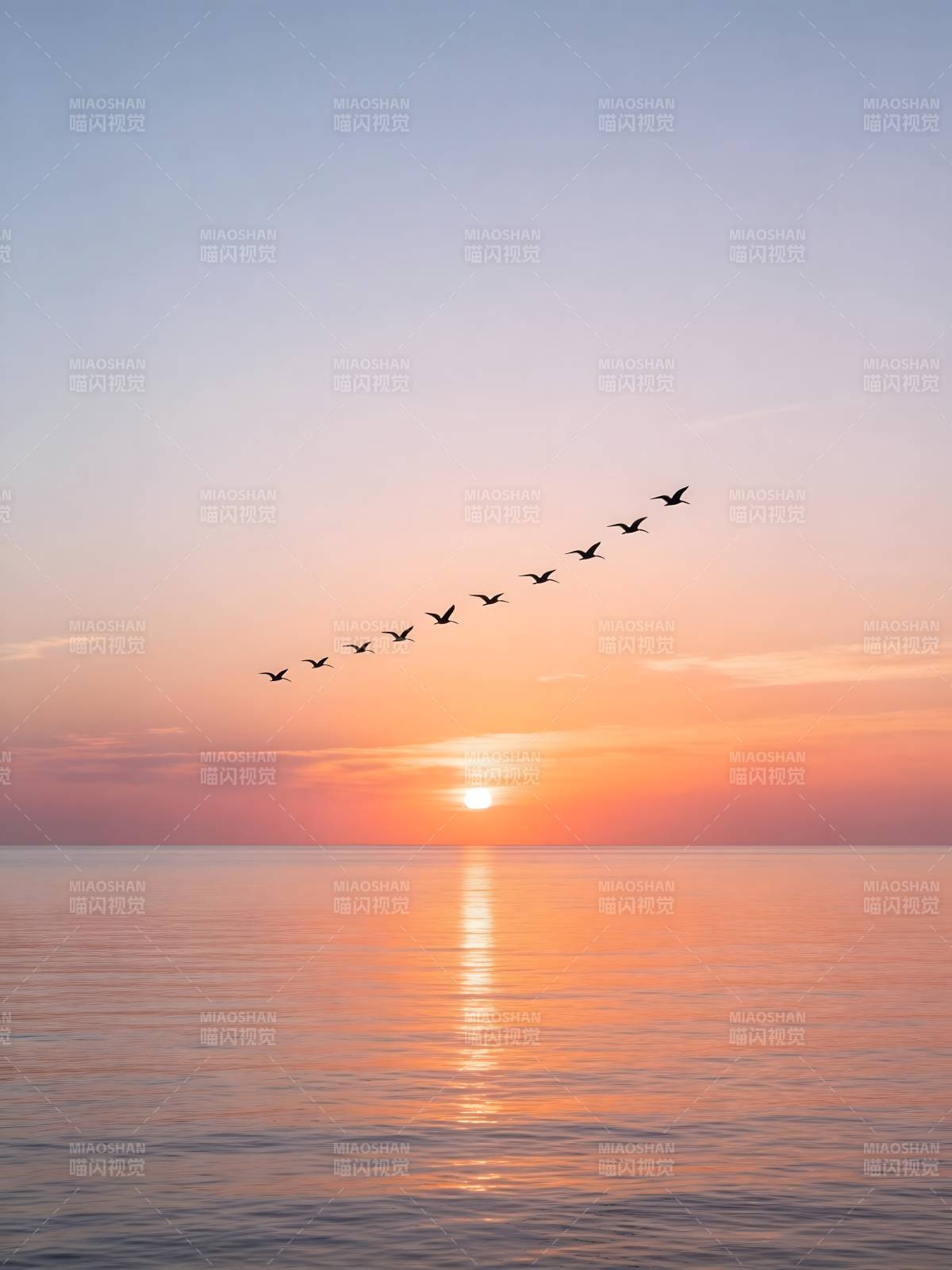 夕阳雁阵 海天共色图片
