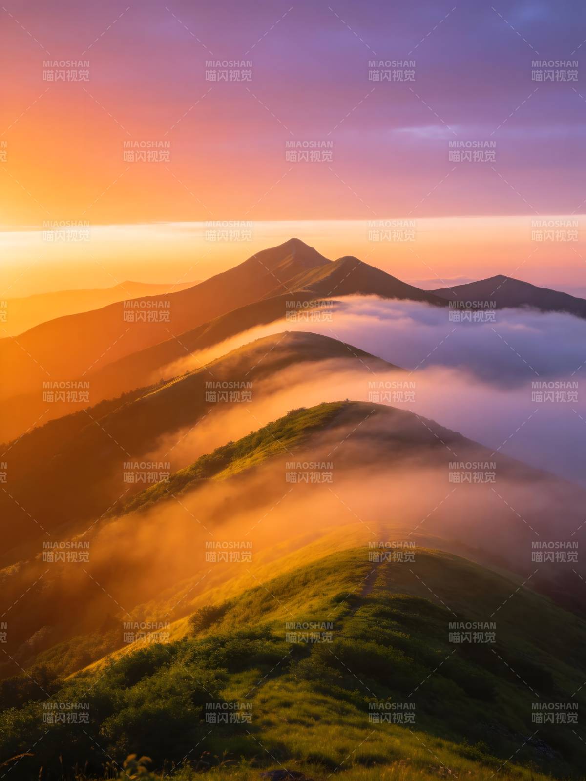 云海日出 山峦染金霞图片
