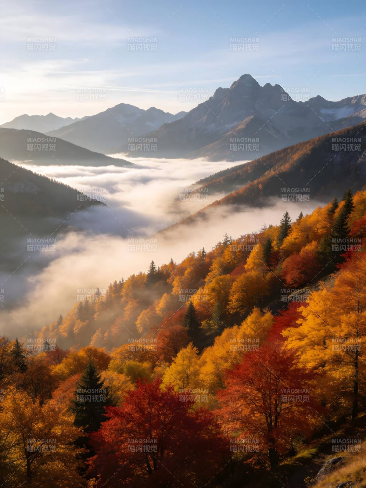 秋山云海 层林尽染图片