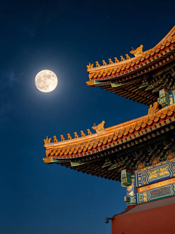月照古檐 宫阙生辉图片