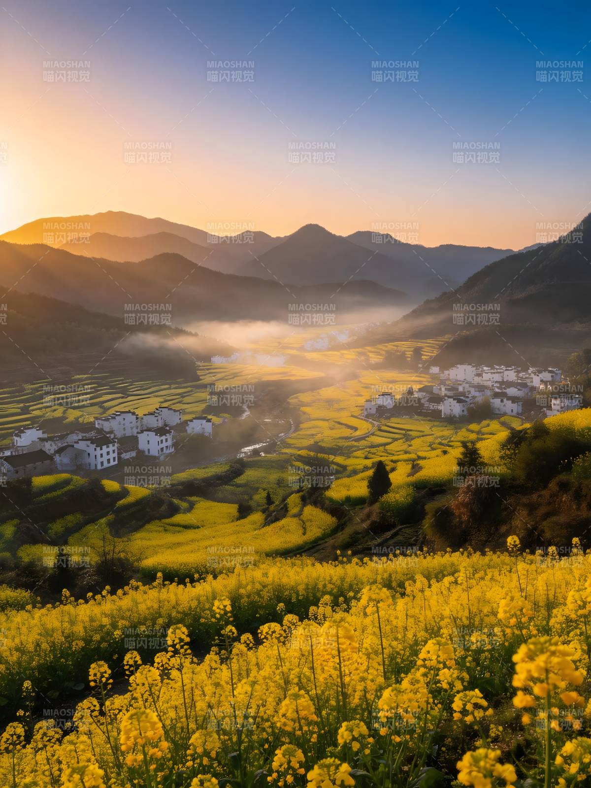 晨雾金田 山居如画图片
