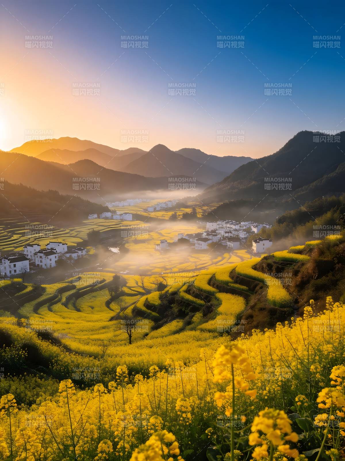 金黄梯田映晨光 山村如画图片