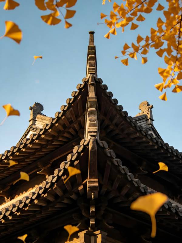 古塔秋叶舞蓝天图片