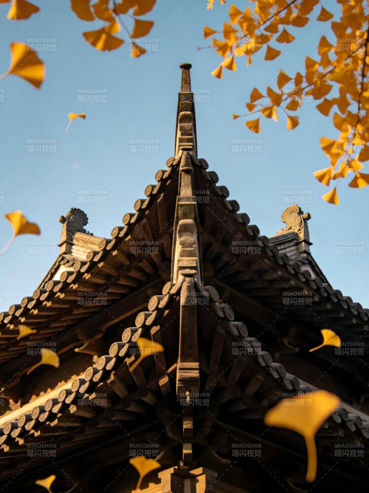 古塔秋叶舞蓝天图片