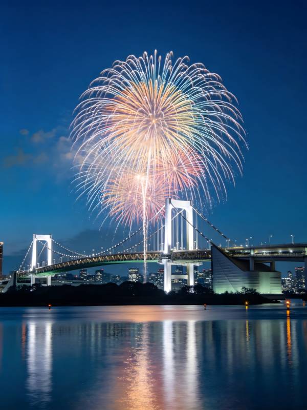 烟花绽放彩虹桥夜景图片