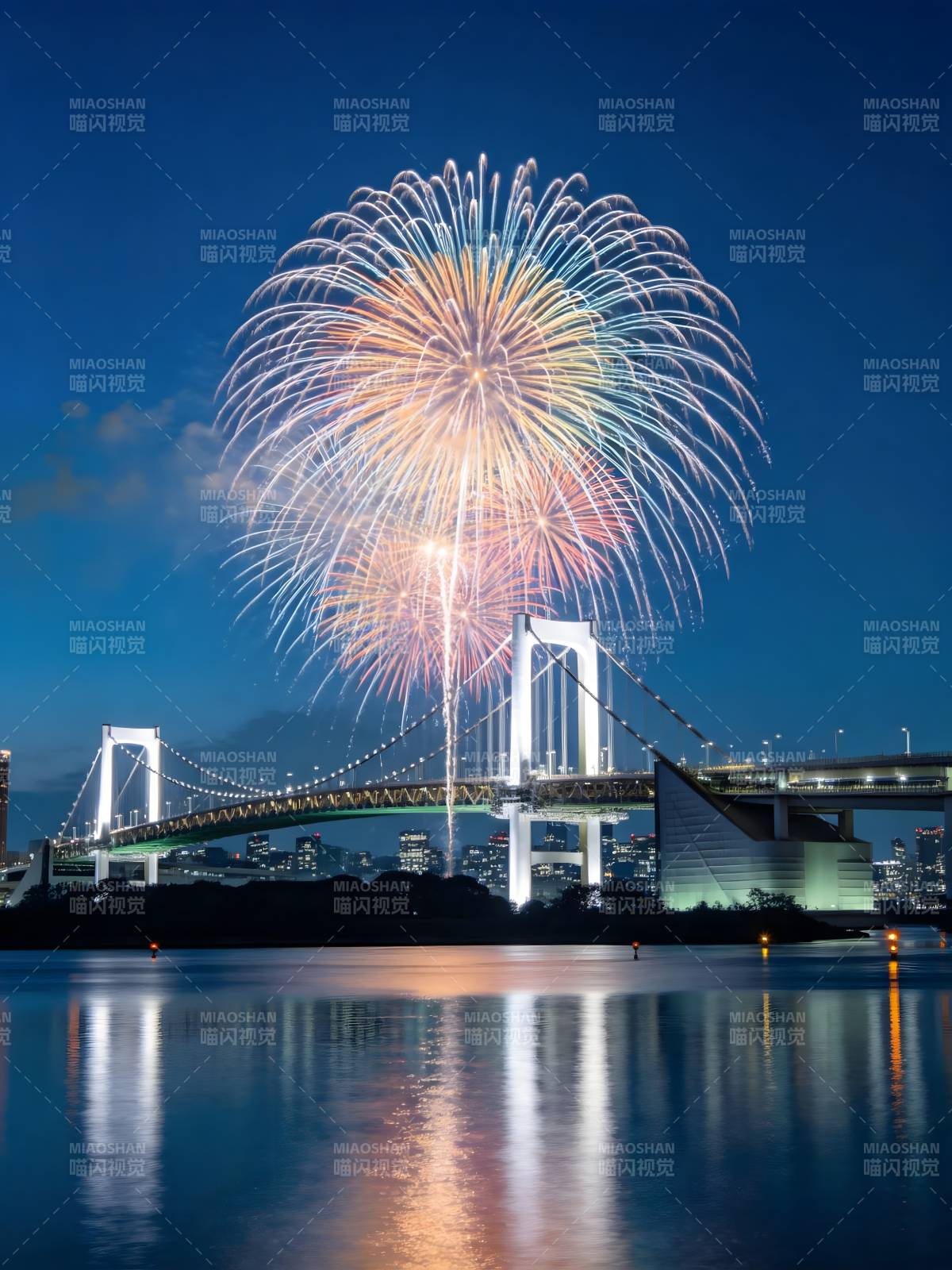 烟花绽放彩虹桥夜景图片