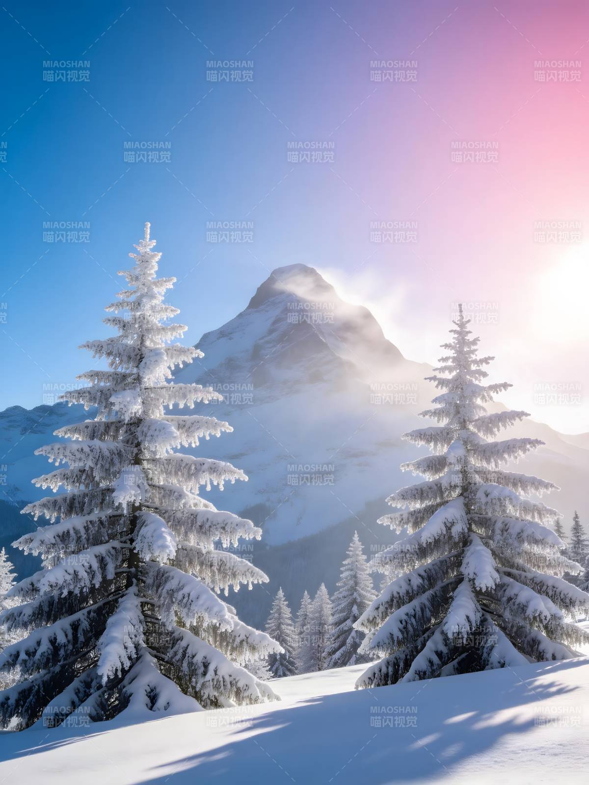 雪覆松林 峰隐霞光中图片