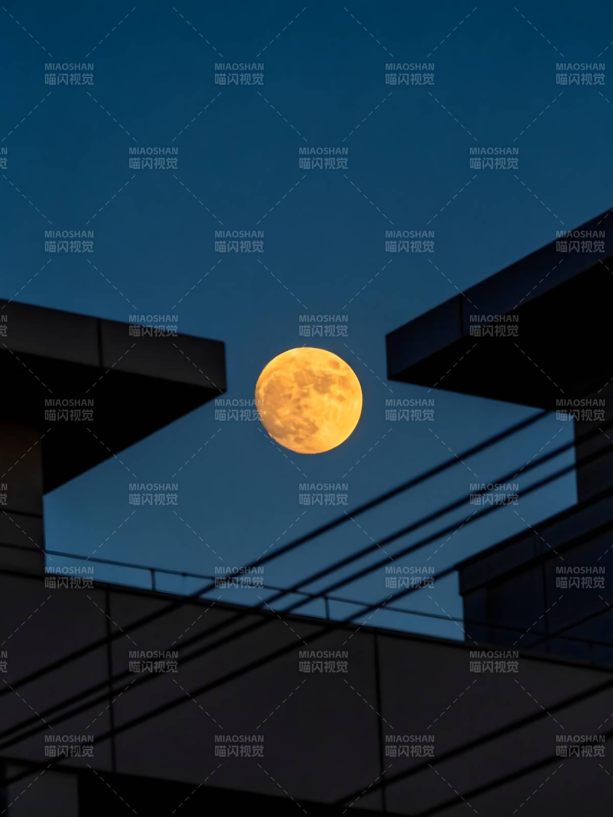 月悬楼隙 夜静如诗图片