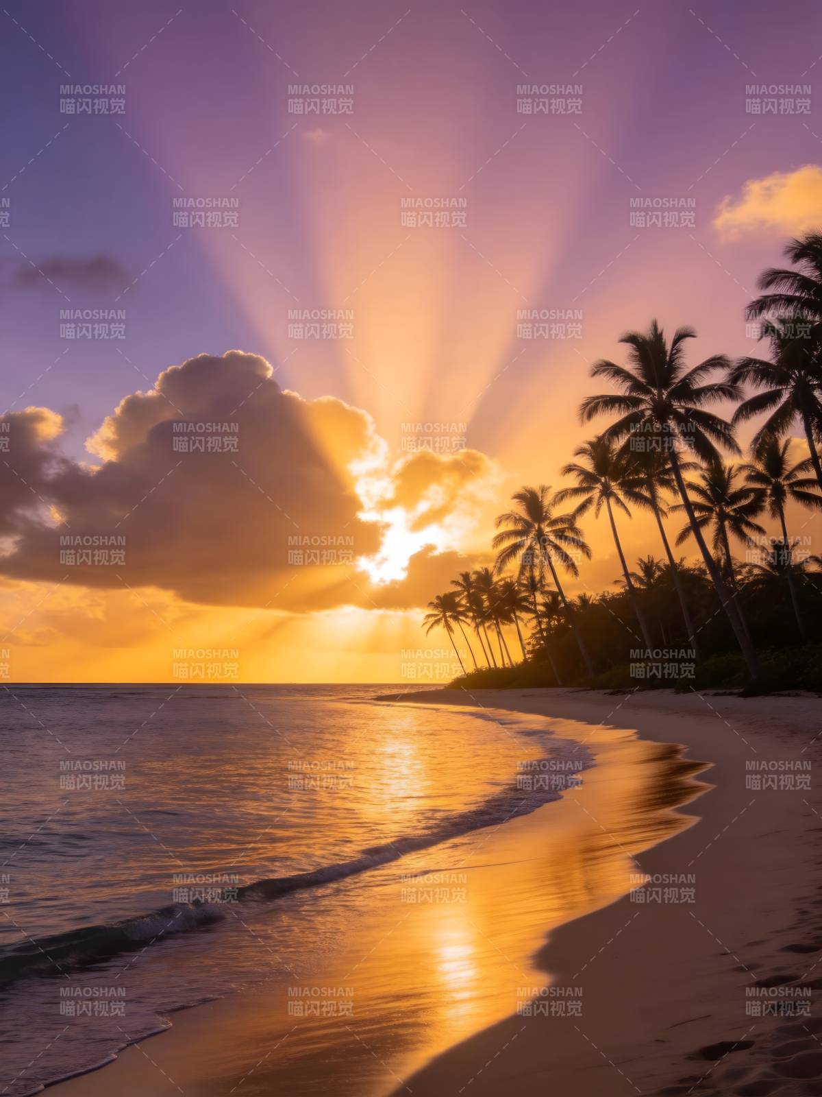 夕阳椰影 金辉洒海滩图片