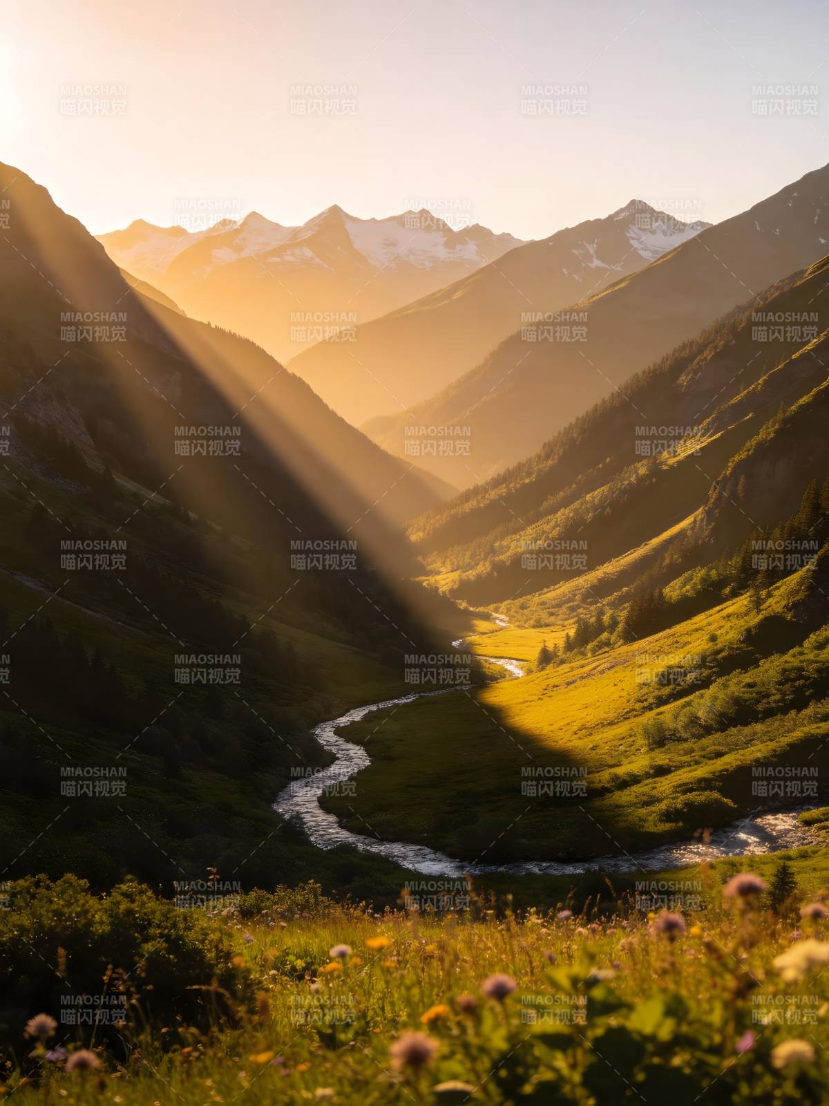山谷晨曦 溪流蜿蜒穿金谷图片