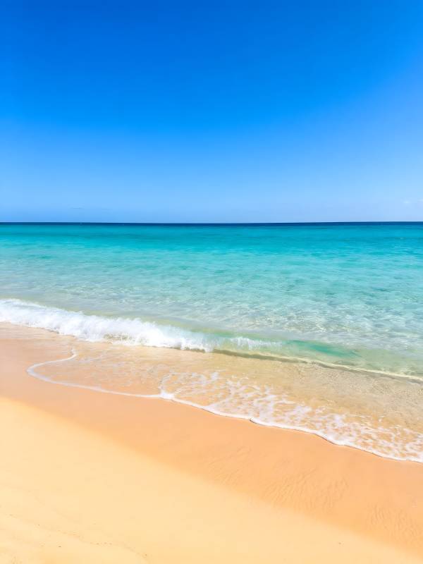 碧海金沙 晴空万里图片