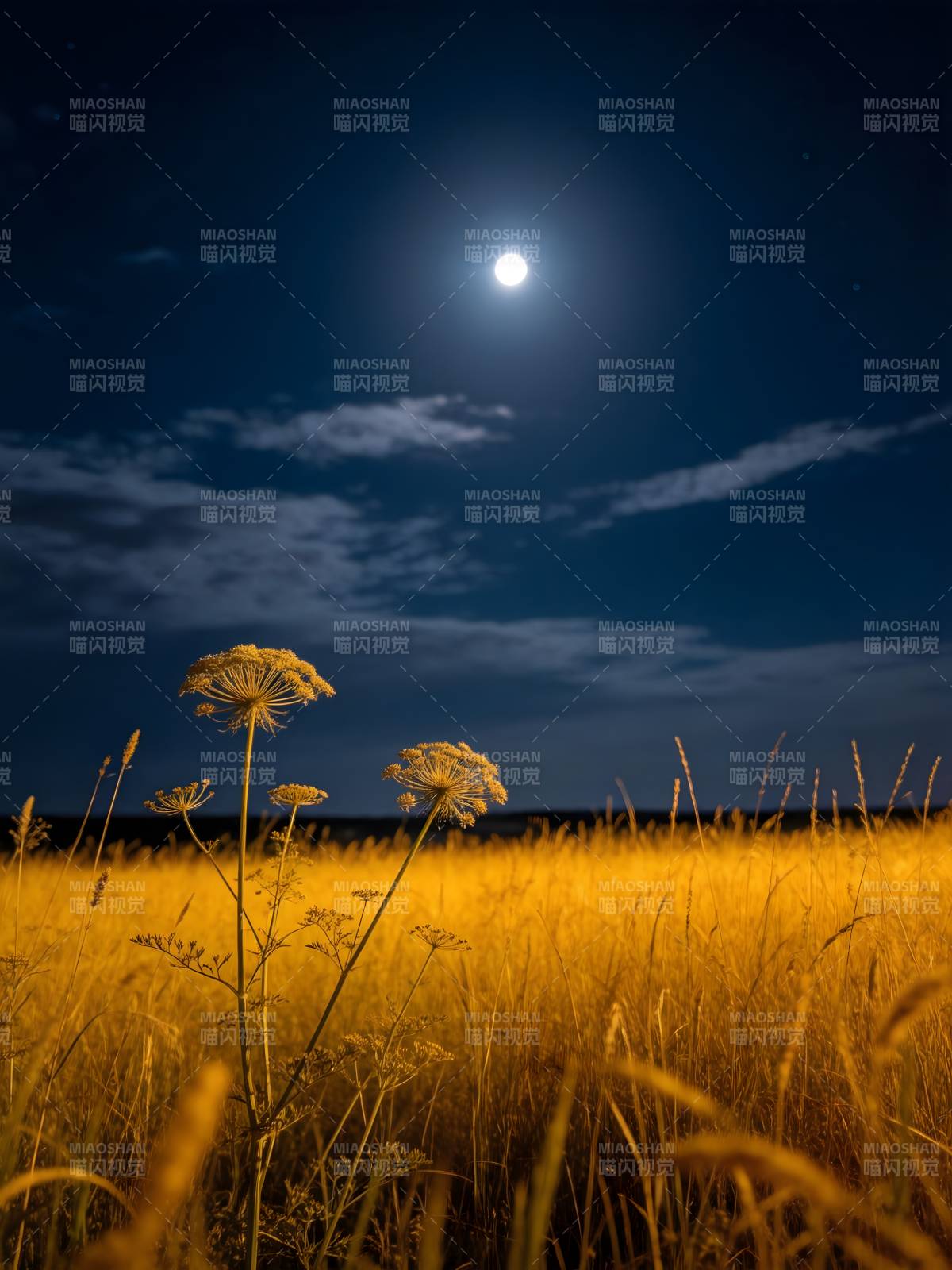 月照金野 静夜花影图片