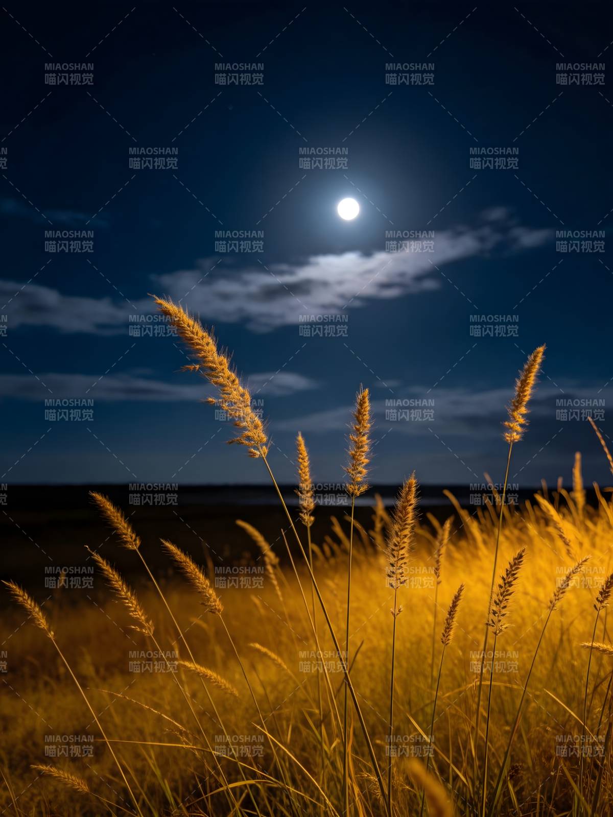 月照金穗夜静美图片