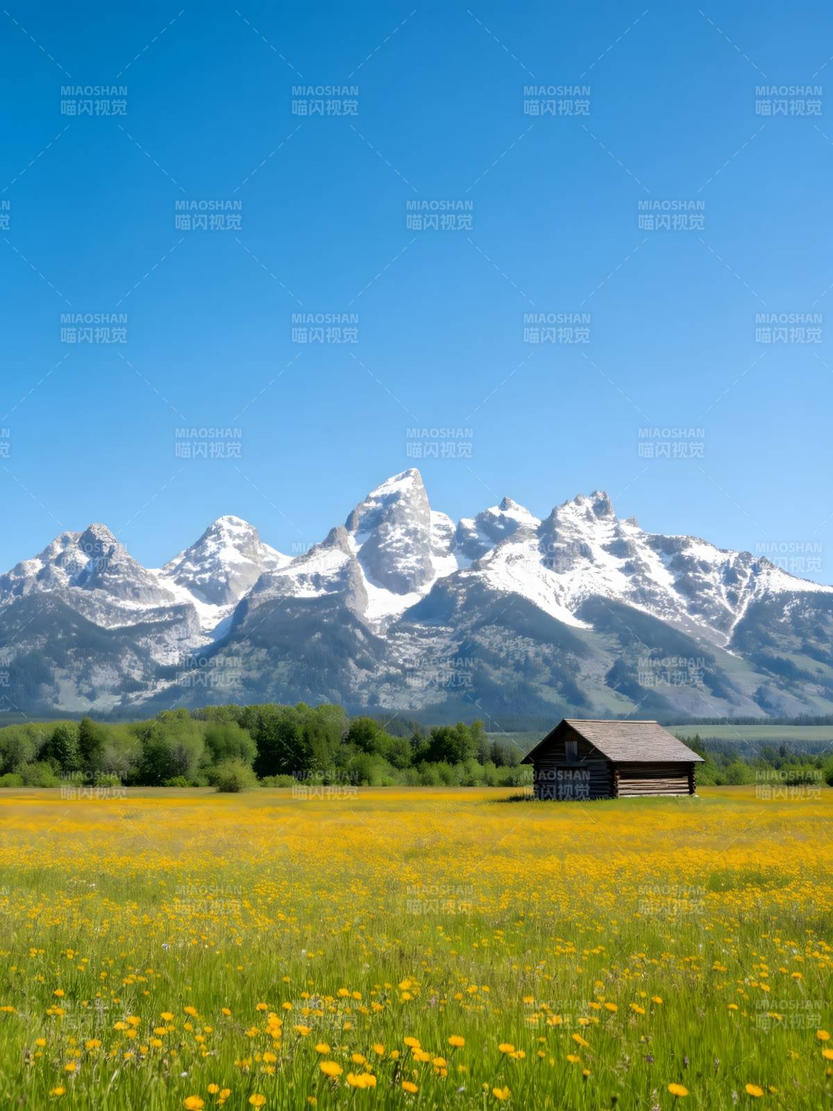 雪山花田木屋静景图片