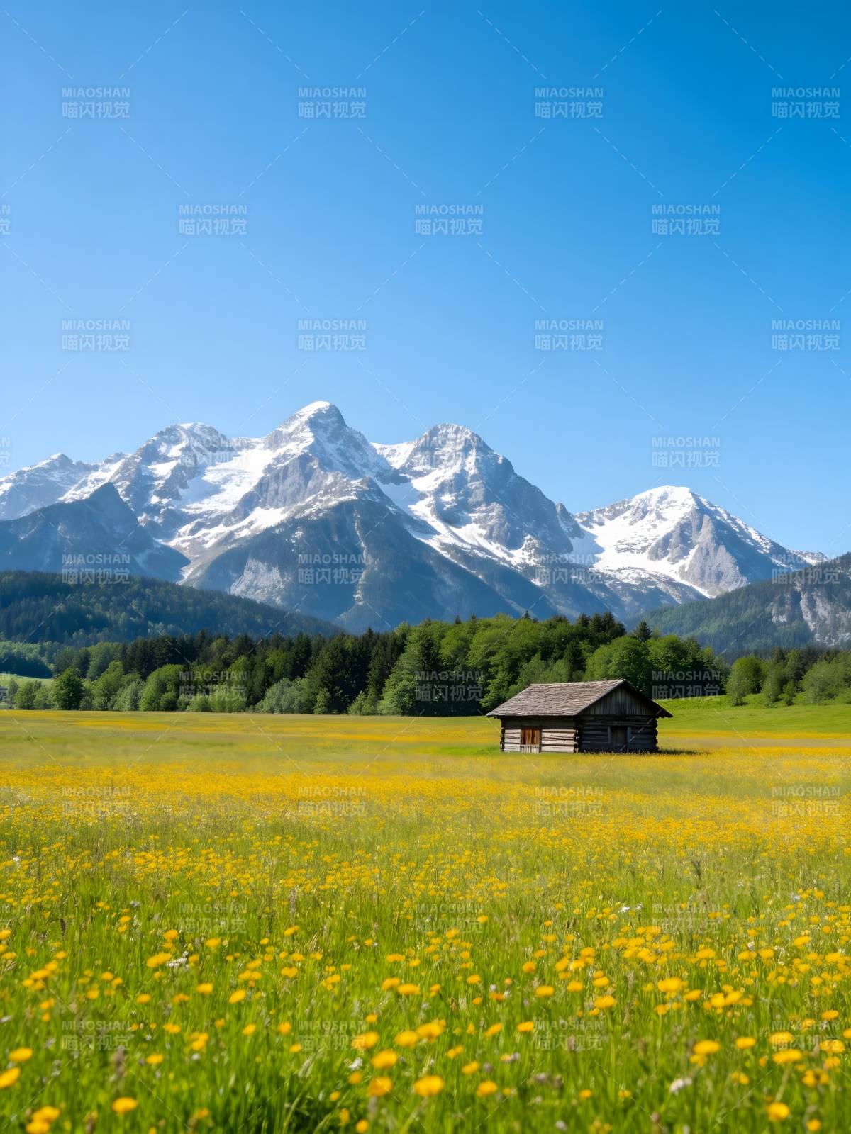 雪山花田木屋静景图片