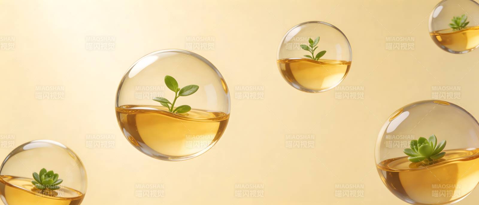 油滴中的绿植生机图片