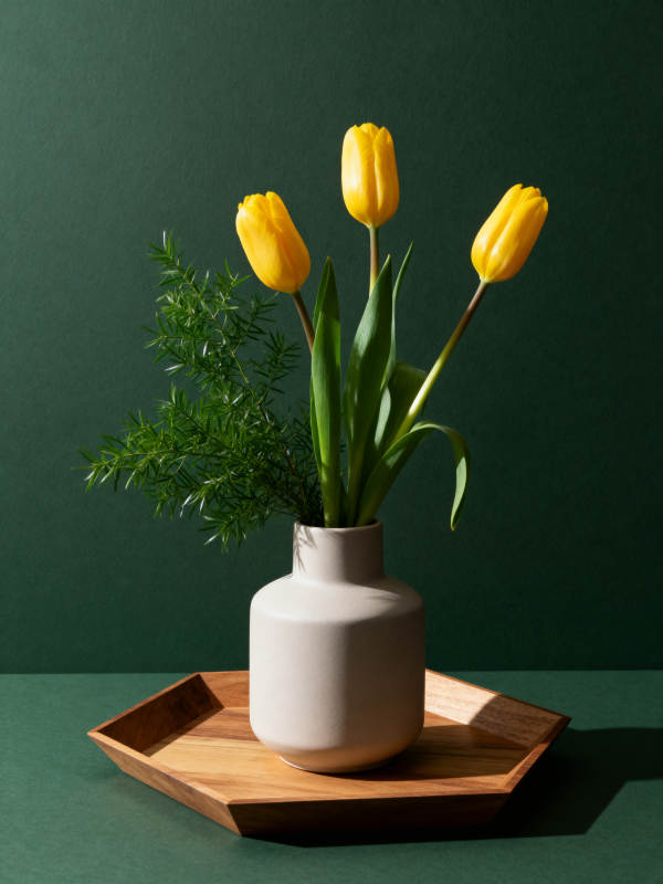 黄 tulip 绿背景静物美图片