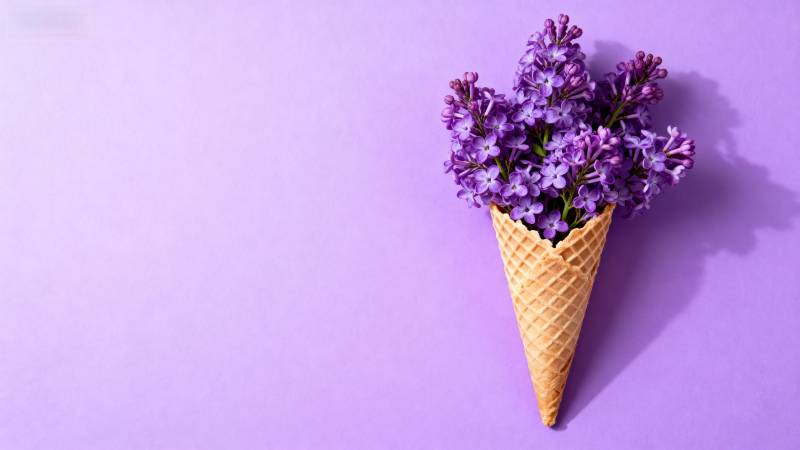 紫花冰淇淋锥 梦幻紫色背景图片