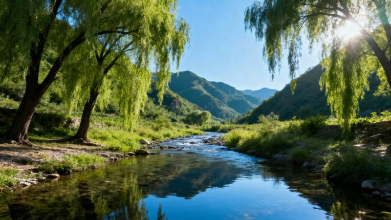 青山绿水映柳荫图片
