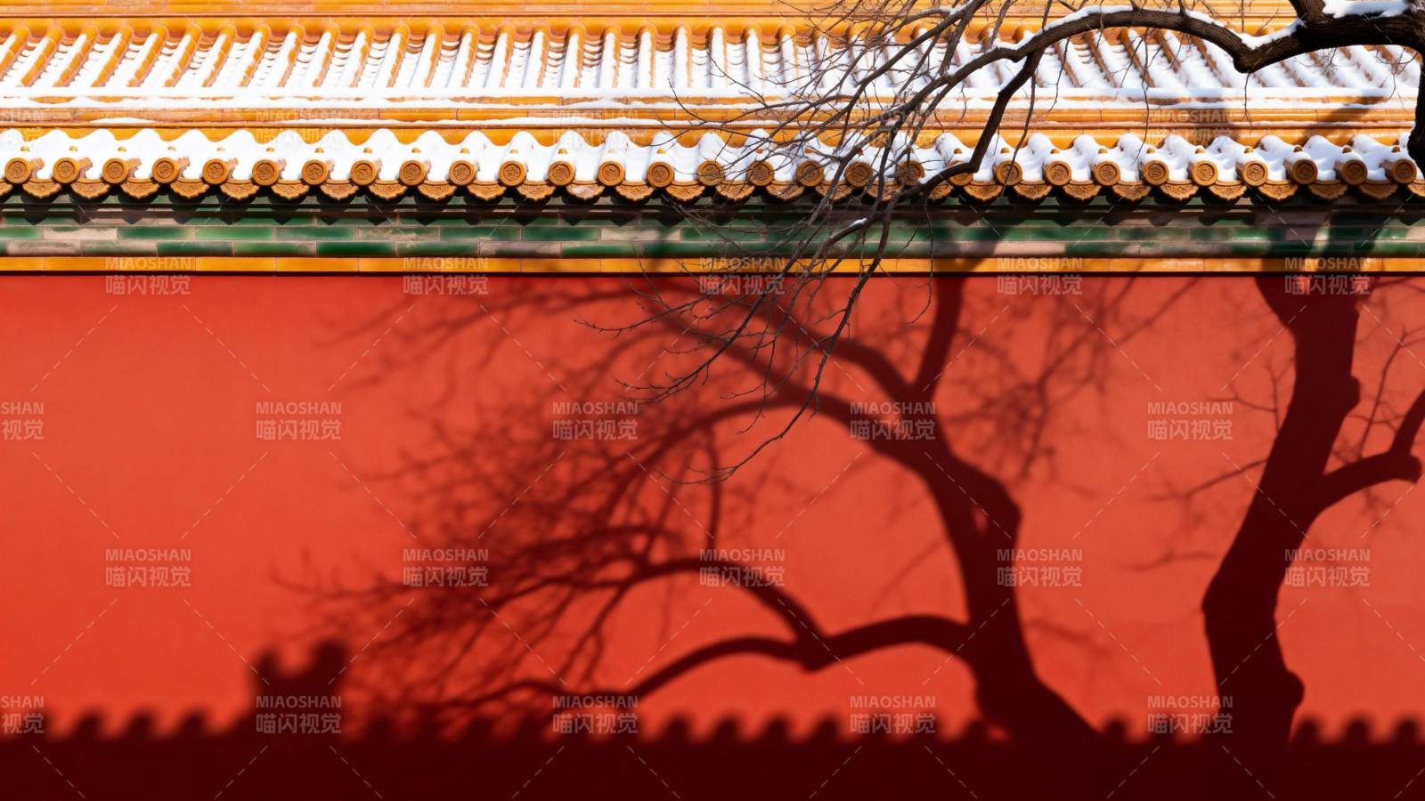 红墙黄瓦 枯枝剪影图片