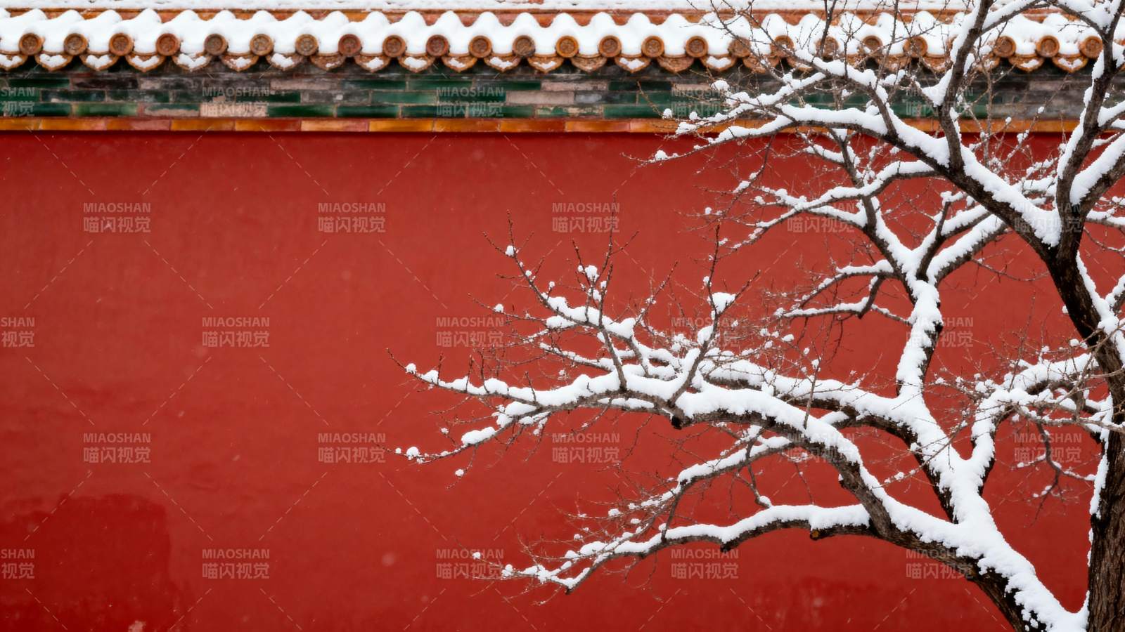 红墙雪枝映古韵图片