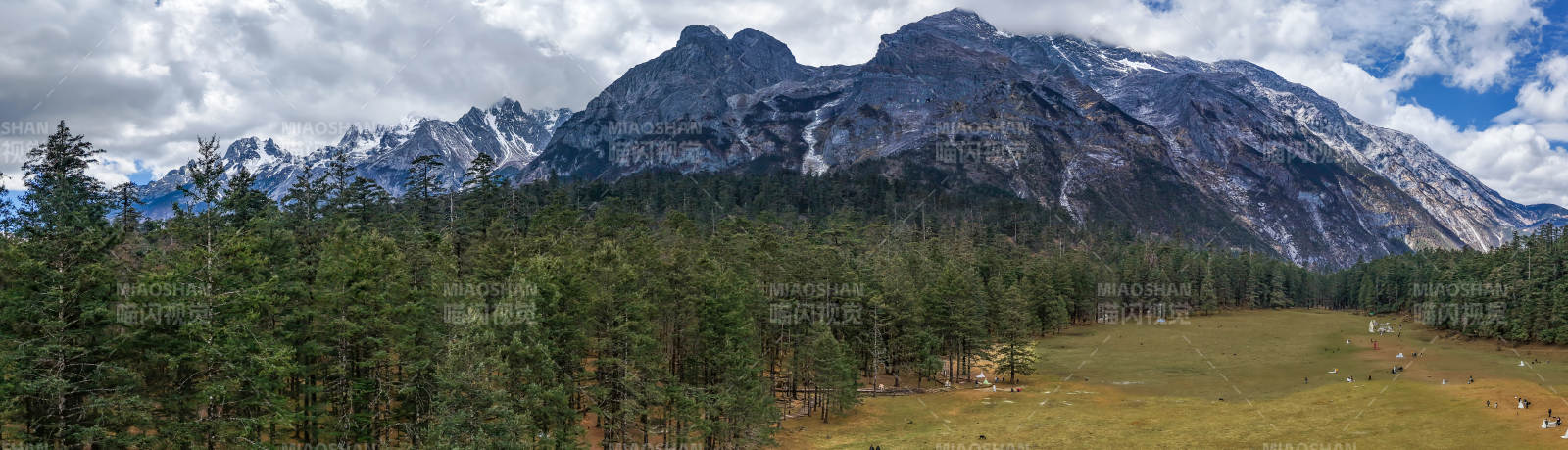 雪山森林草原全景图图片