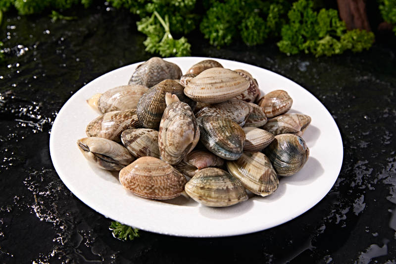 海鲜食材鲜活带壳花蛤图片