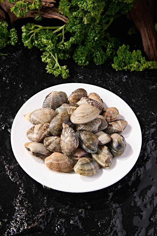 海鲜食材鲜活带壳花蛤图片