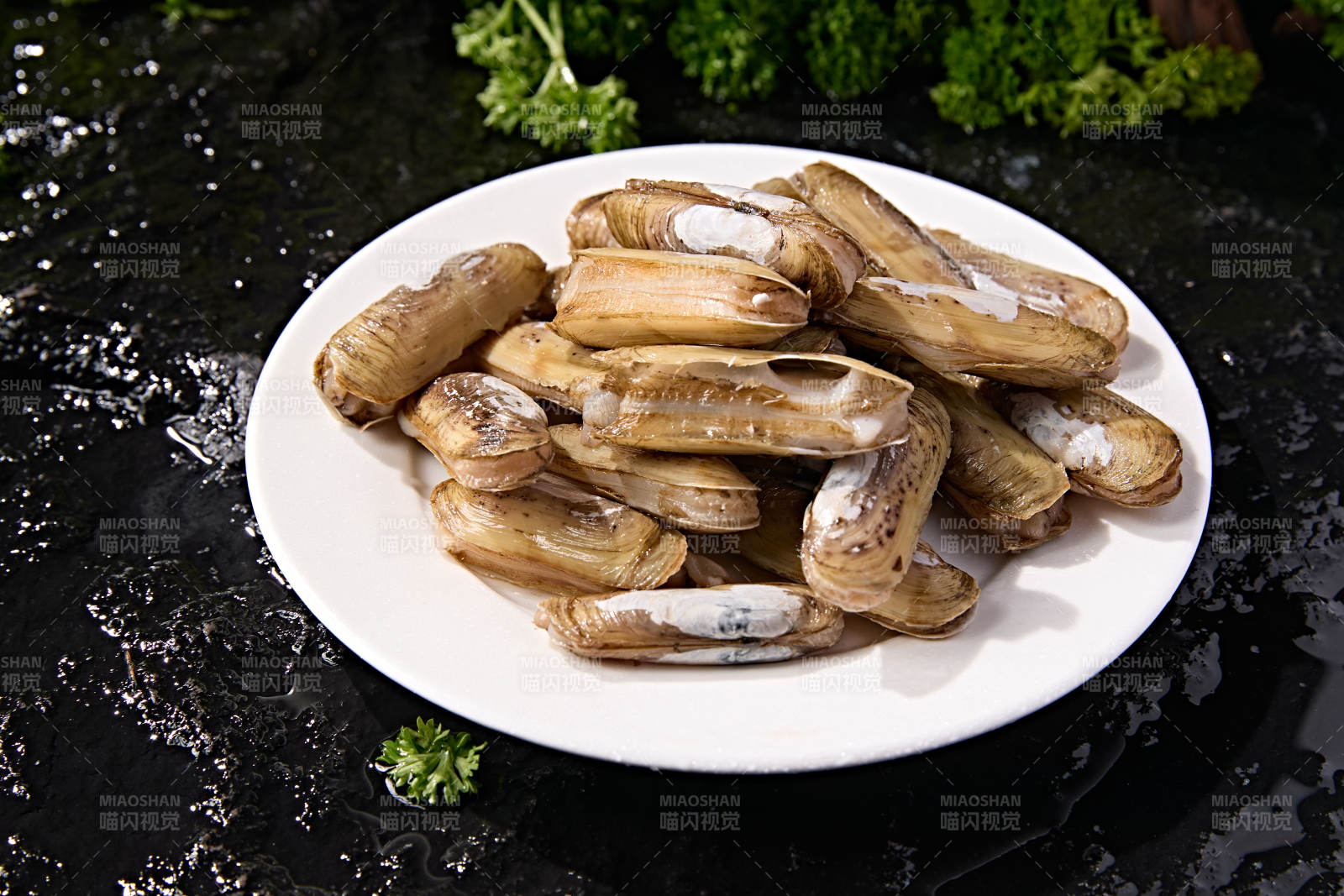 海鲜食材鲜活带壳蛏子图片