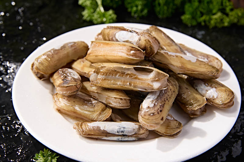 海鲜食材鲜活带壳蛏子图片