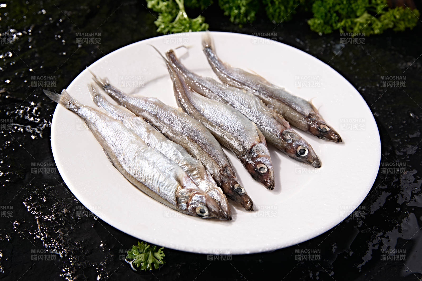 水产食材海捕小海鱼图片