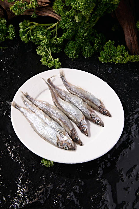水产食材海捕小海鱼图片
