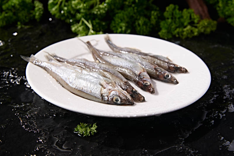 水产食材海捕小海鱼图片