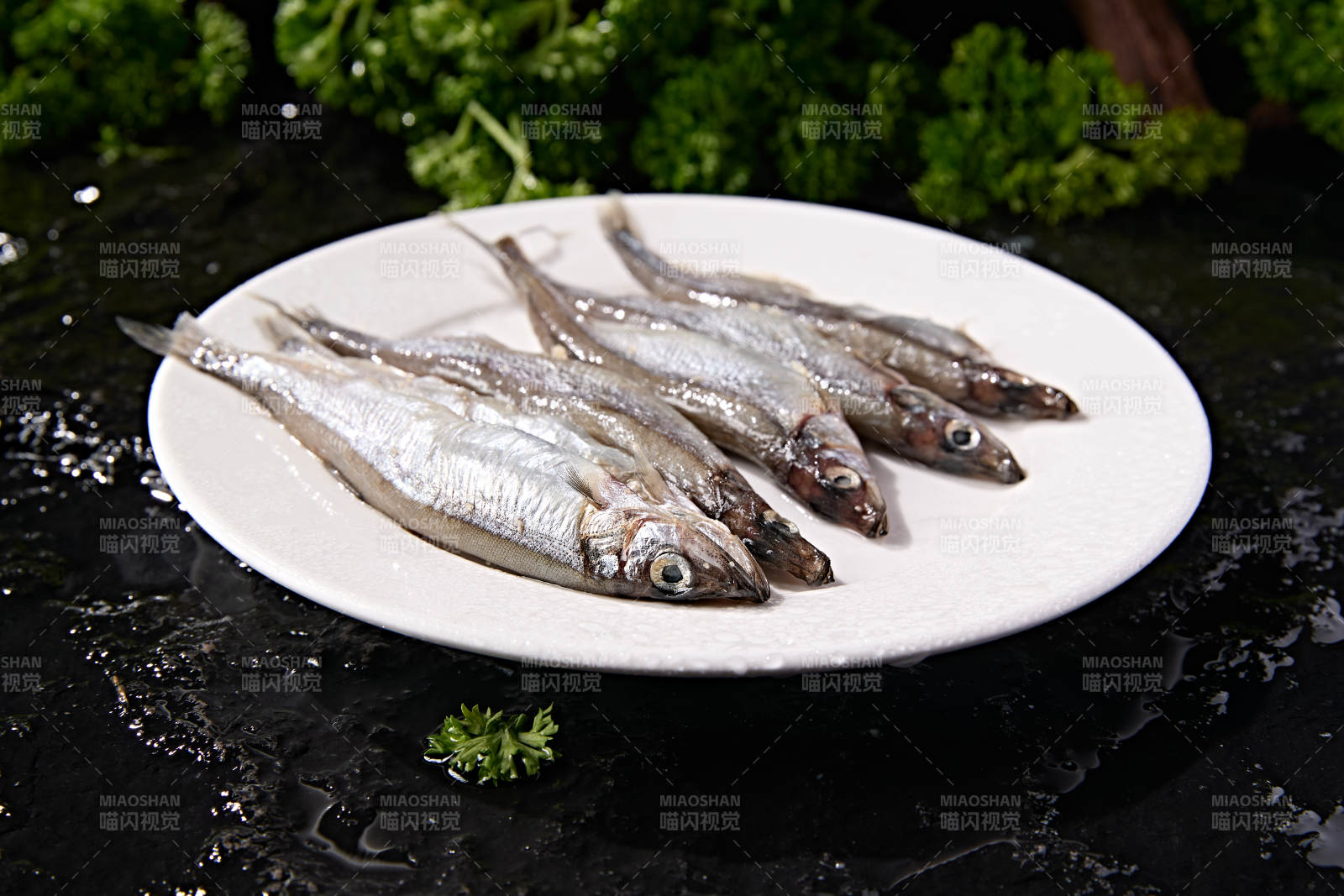 水产食材海捕小海鱼图片