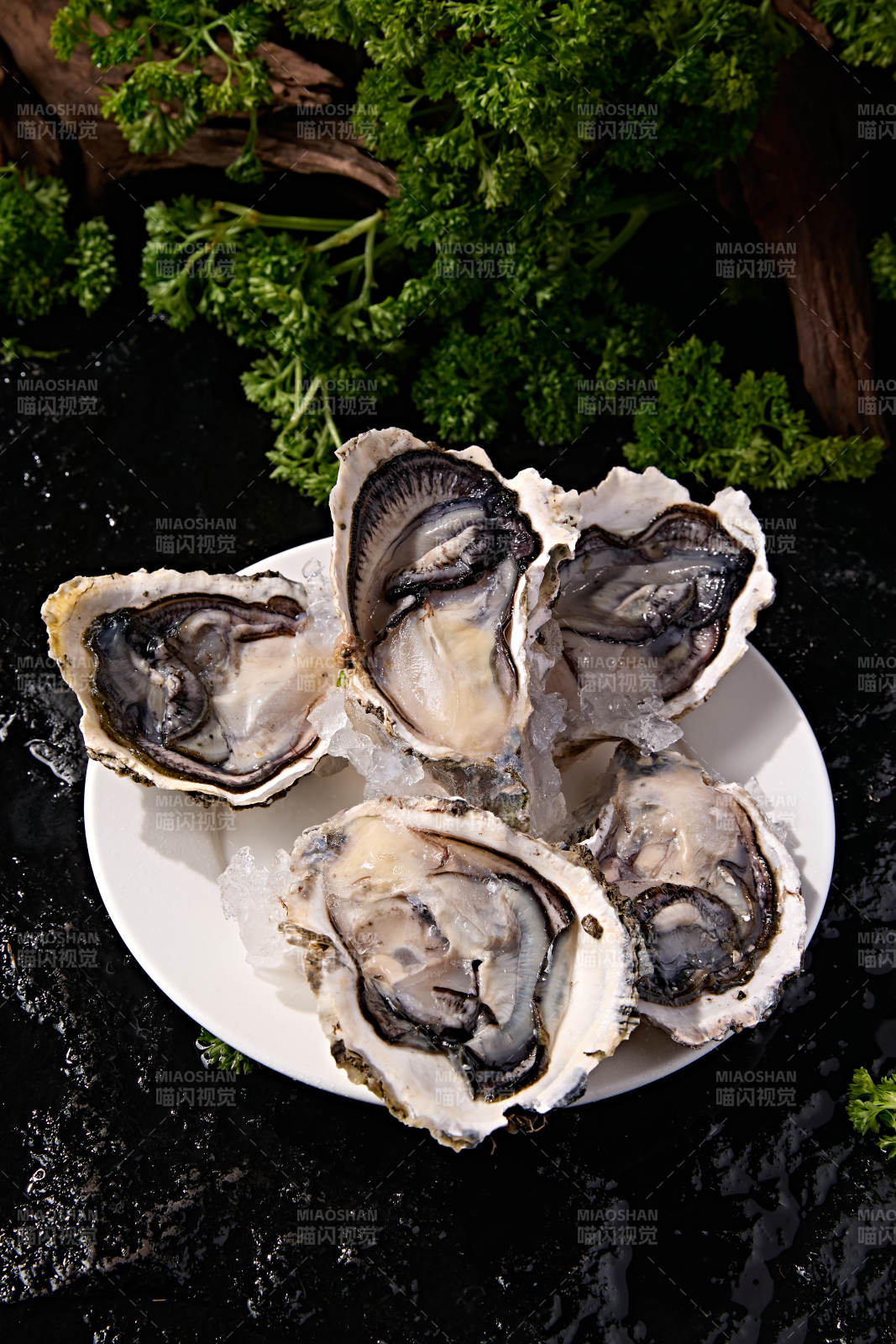 海鲜食材鲜活带壳生蚝刺身图片