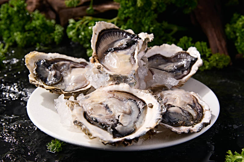 海鲜食材鲜活带壳生蚝刺身图片