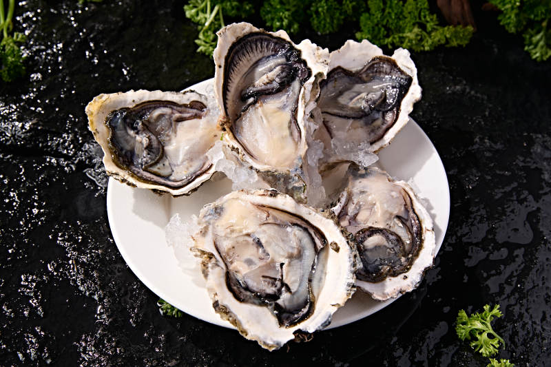 海鲜食材鲜活带壳生蚝刺身图片