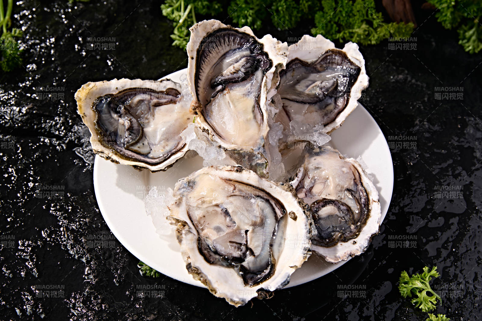 海鲜食材鲜活带壳生蚝刺身图片