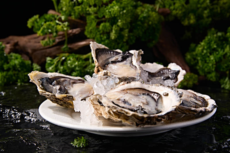 海鲜食材鲜活带壳生蚝刺身图片