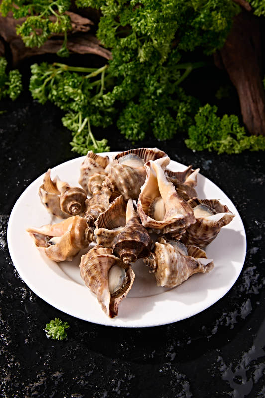 火锅烧烤海鲜食材开壳熟制大海螺图片